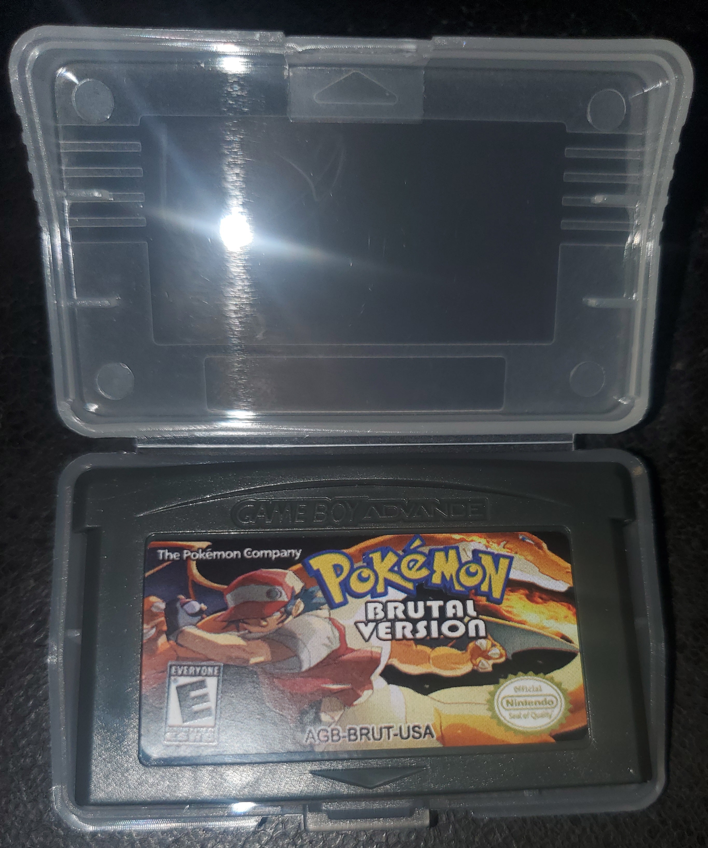 Pokemon Brutal GBA ROM Hack Video Game Custom Gameboy Advance