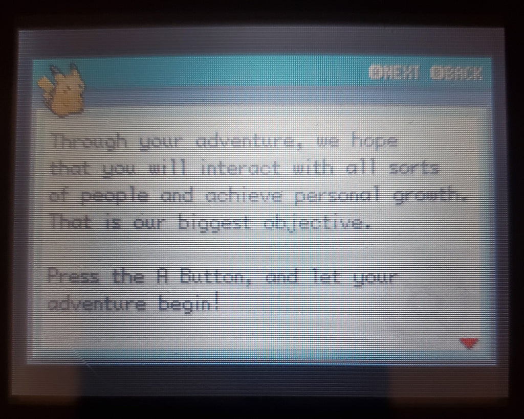 Pokemon Fuligin GBA ROM Hack Video Game Custom Gameboy Advance