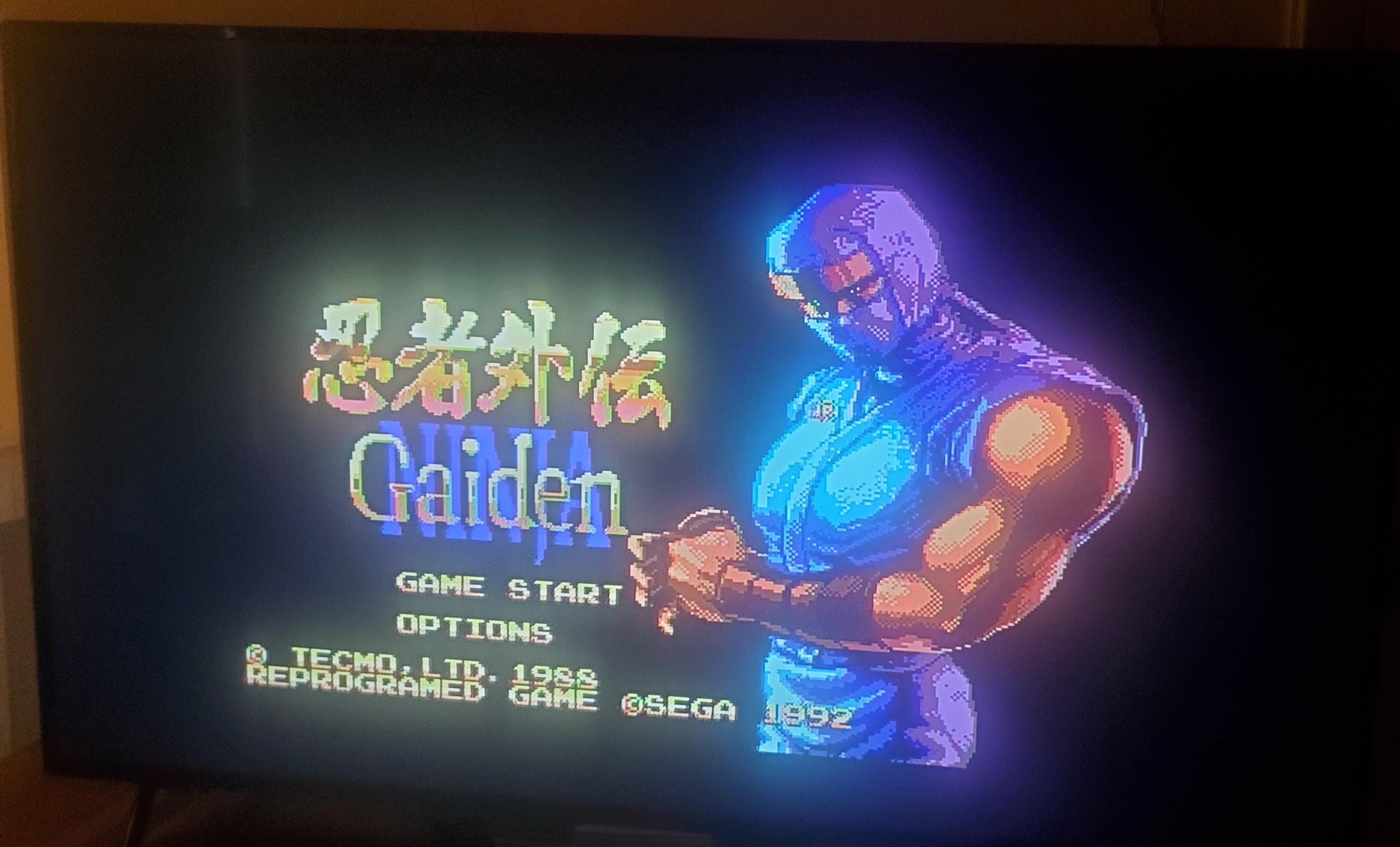 Ninja Gaiden Sega Genesis Mega Drive Video Game Cartridge 1992