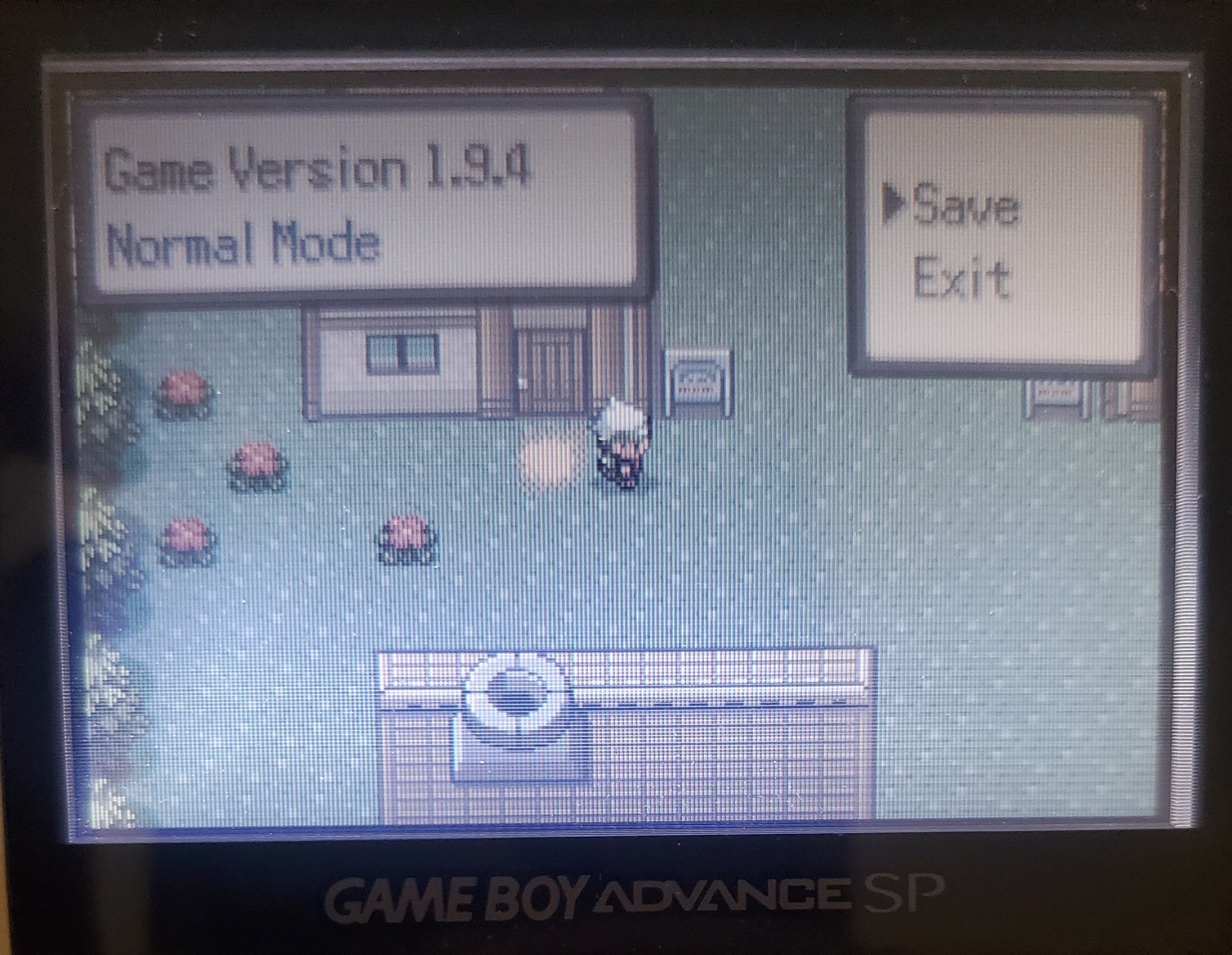 Pokemon R.O.W.E GBA Custom Pokemon ROM Hack Video Game Boy Advance