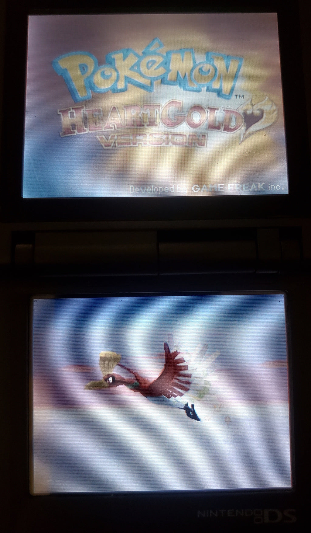 Pokemon Pure Heart NDS Nintendo DS Custom ROM Hack Video Game