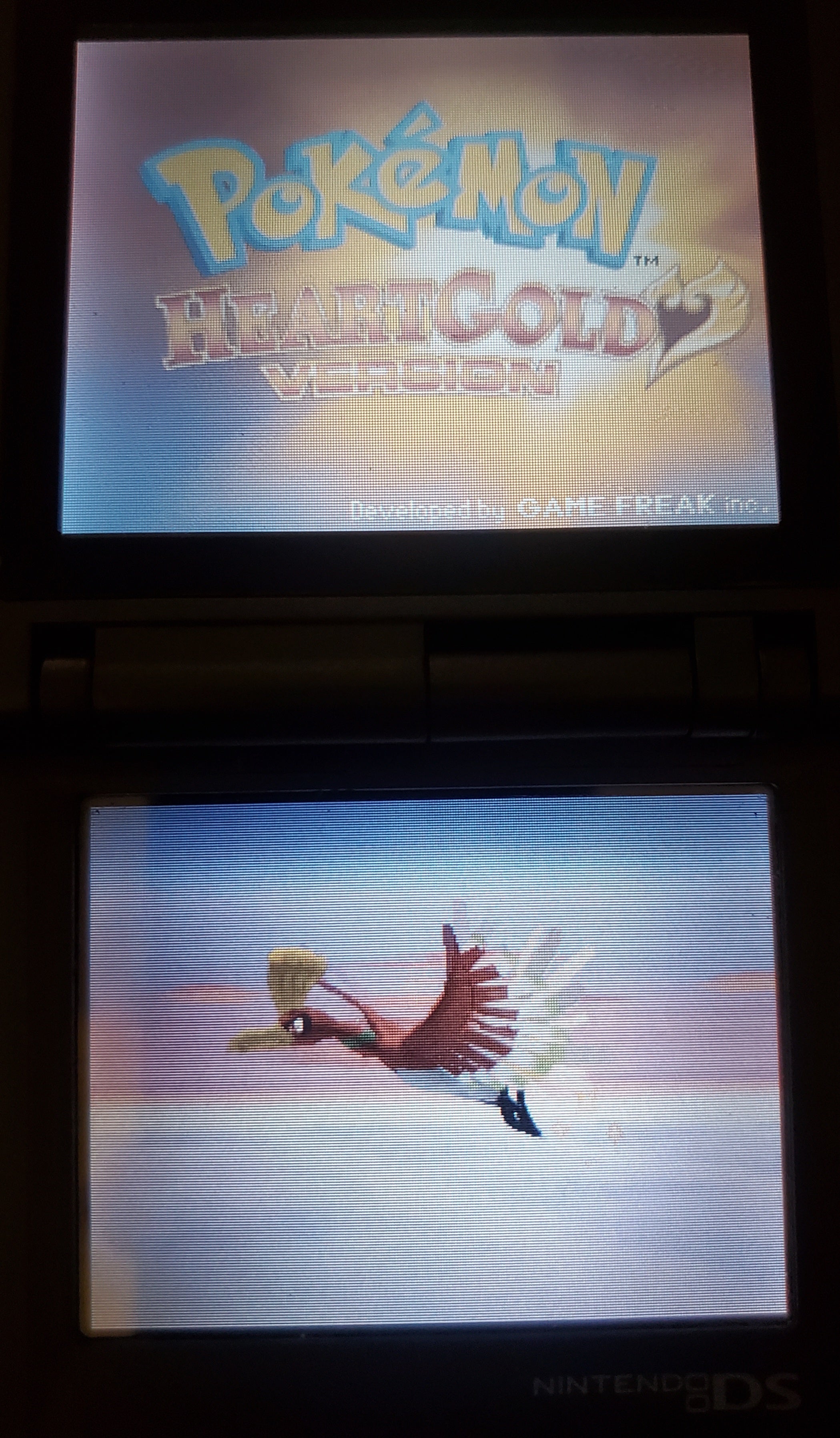 Pokemon Pure Heart NDS Nintendo DS Custom ROM Hack Video Game