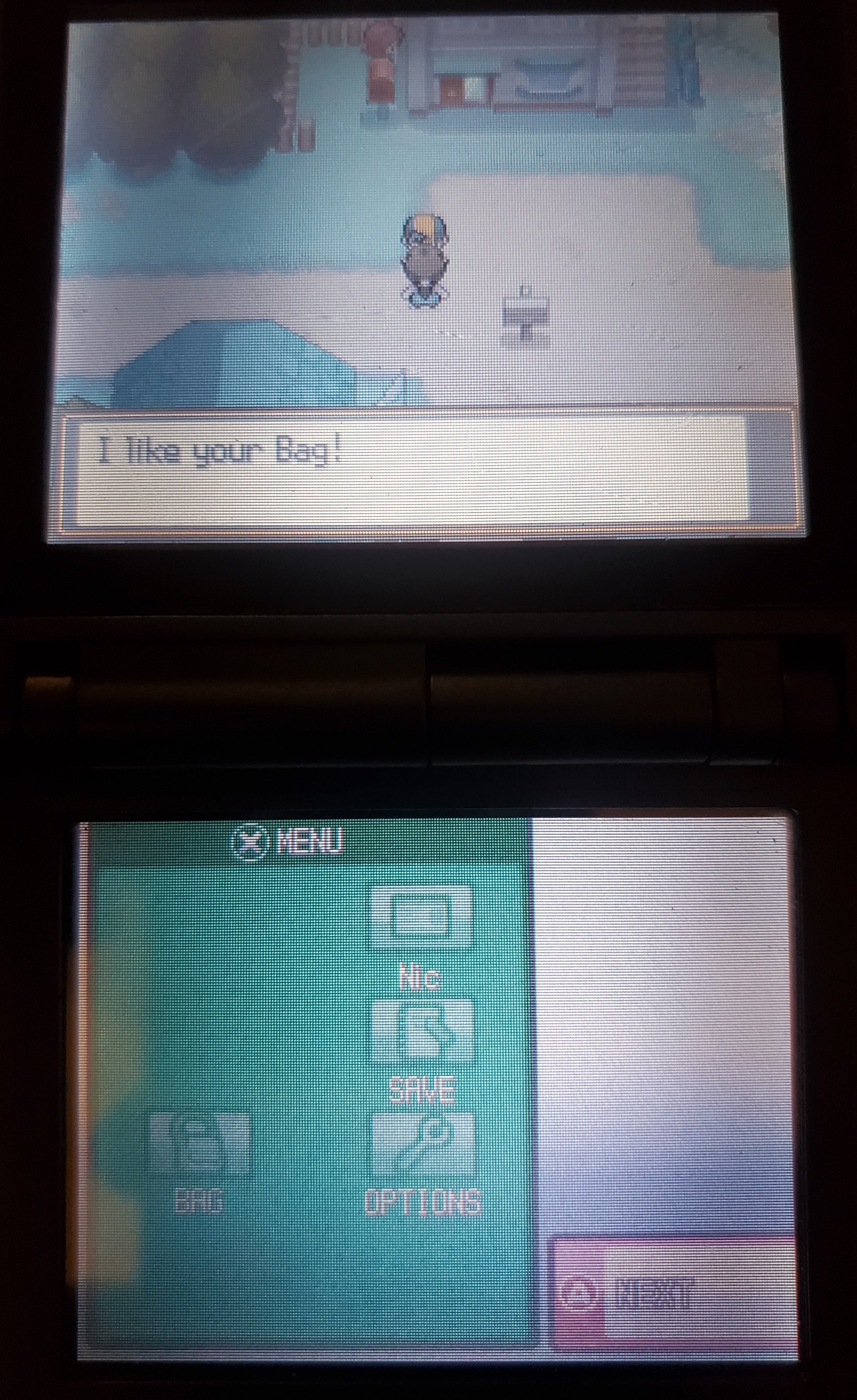 Pokemon Pure Heart NDS Nintendo DS Custom ROM Hack Video Game