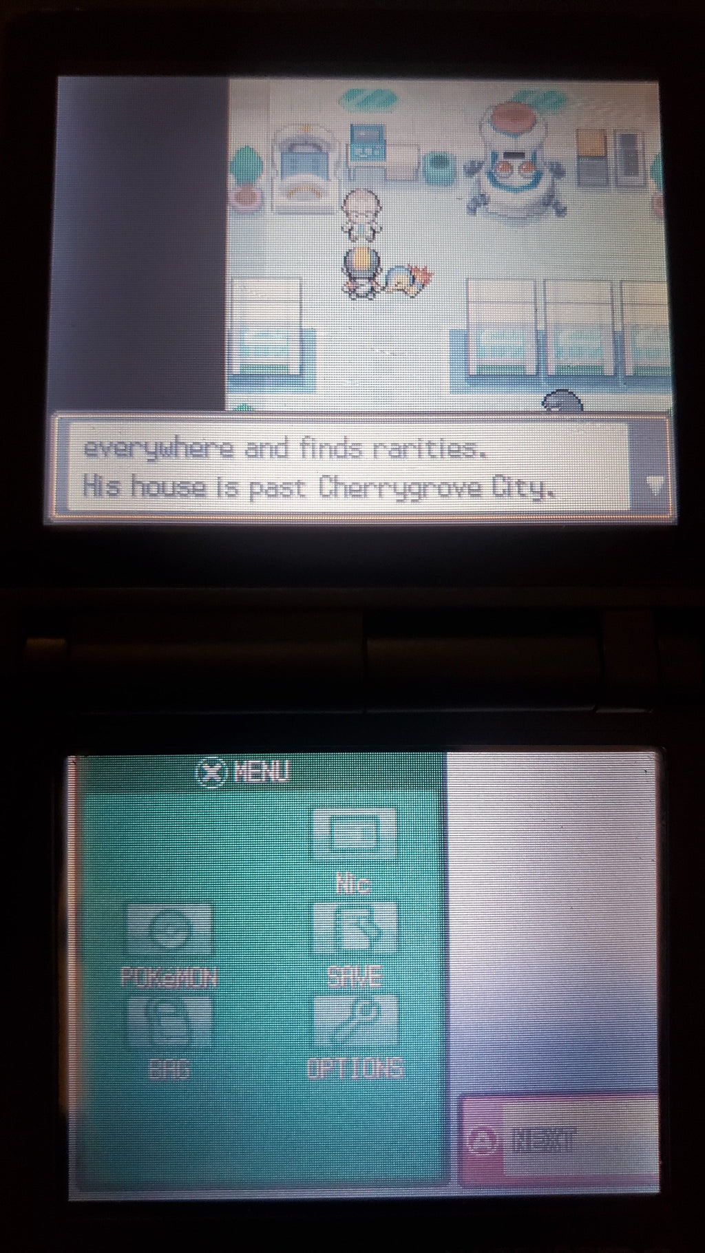 Pokemon Pure Heart NDS Nintendo DS Custom ROM Hack Video Game