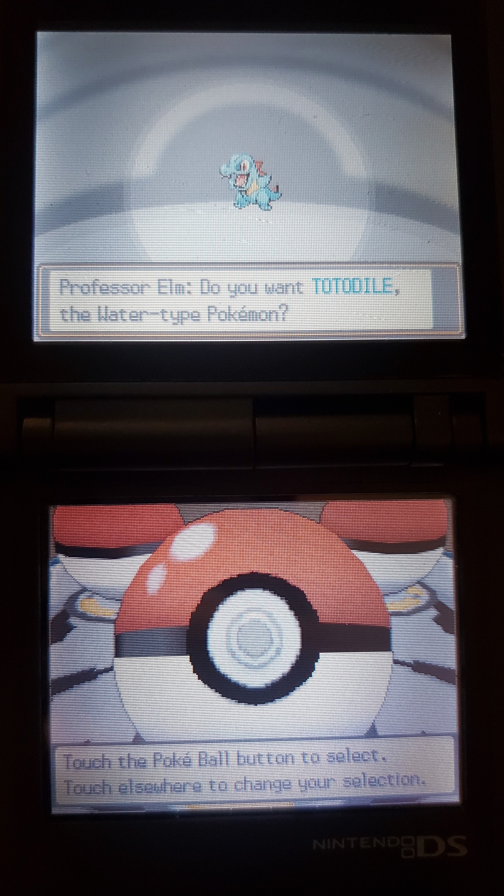 Pokemon True Soul NDS Nintendo DS Custom ROM Hack Video Game Cartridge