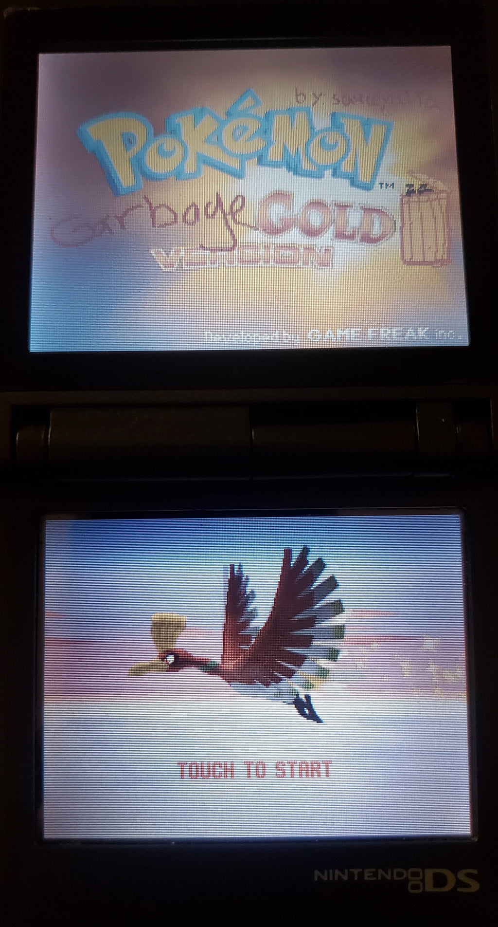 Pokemon GarbageGold NDS Nintendo DS Custom ROM Hack Video Game