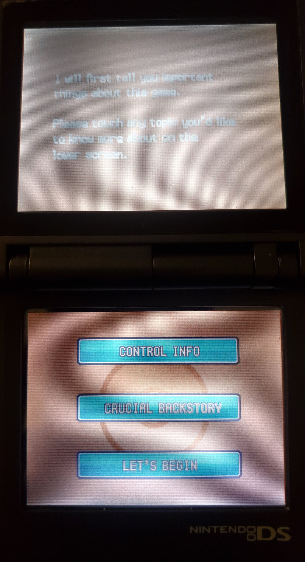 Pokemon GarbageGold NDS Nintendo DS Custom ROM Hack Video Game