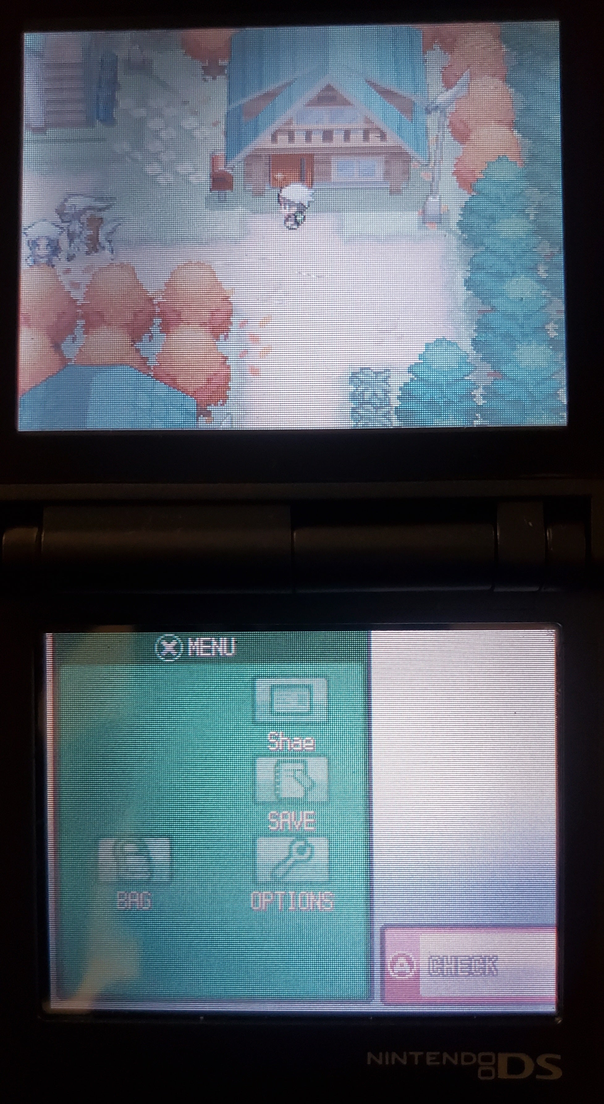 Pokemon GarbageGold NDS Nintendo DS Custom ROM Hack Video Game