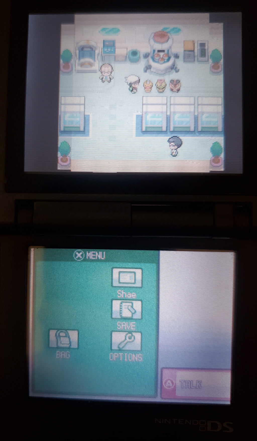 Pokemon GarbageGold NDS Nintendo DS Custom ROM Hack Video Game