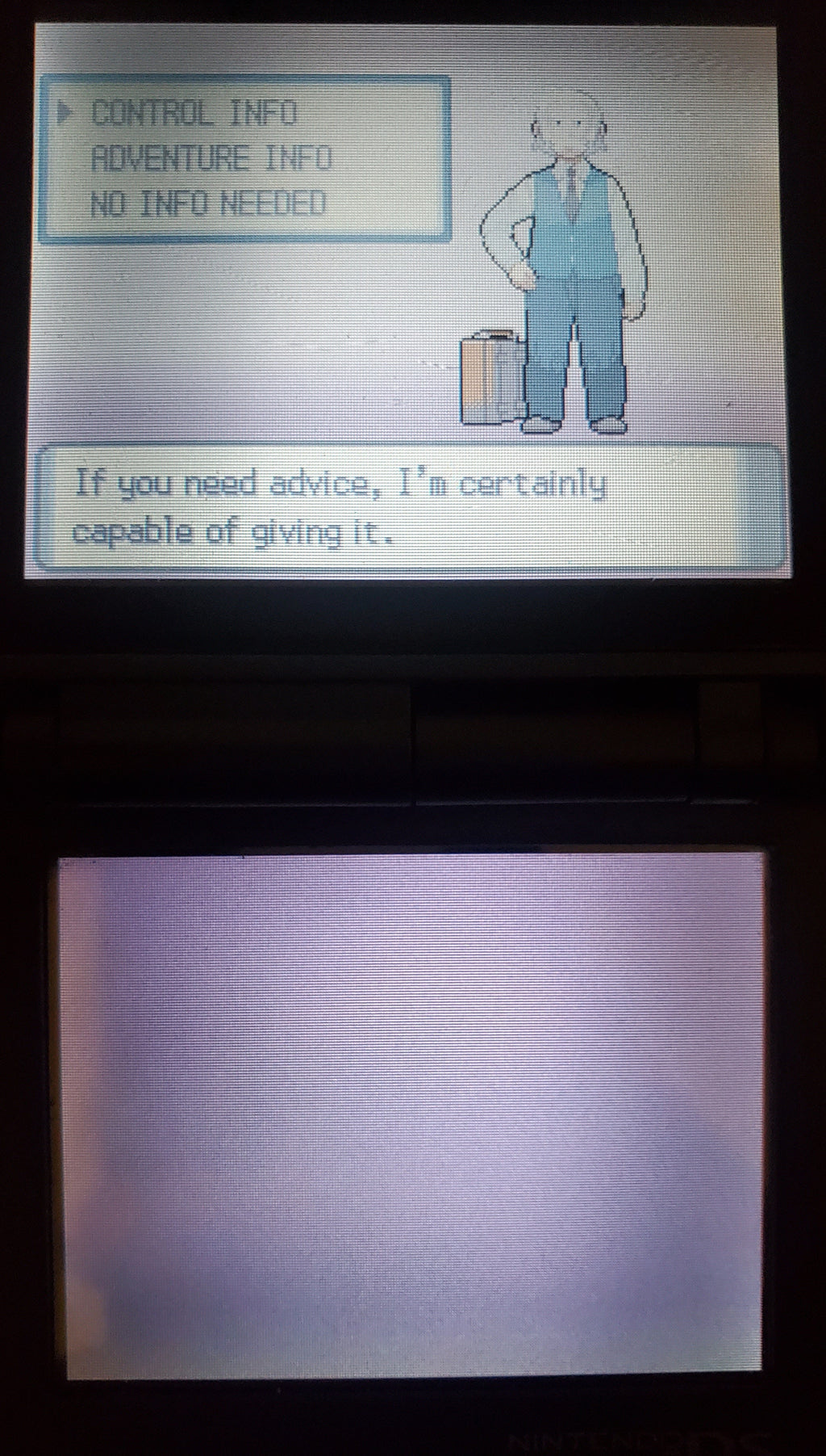 Pokemon SlotMod Pearl NDS Nintendo DS Custom ROM Hack Video Game