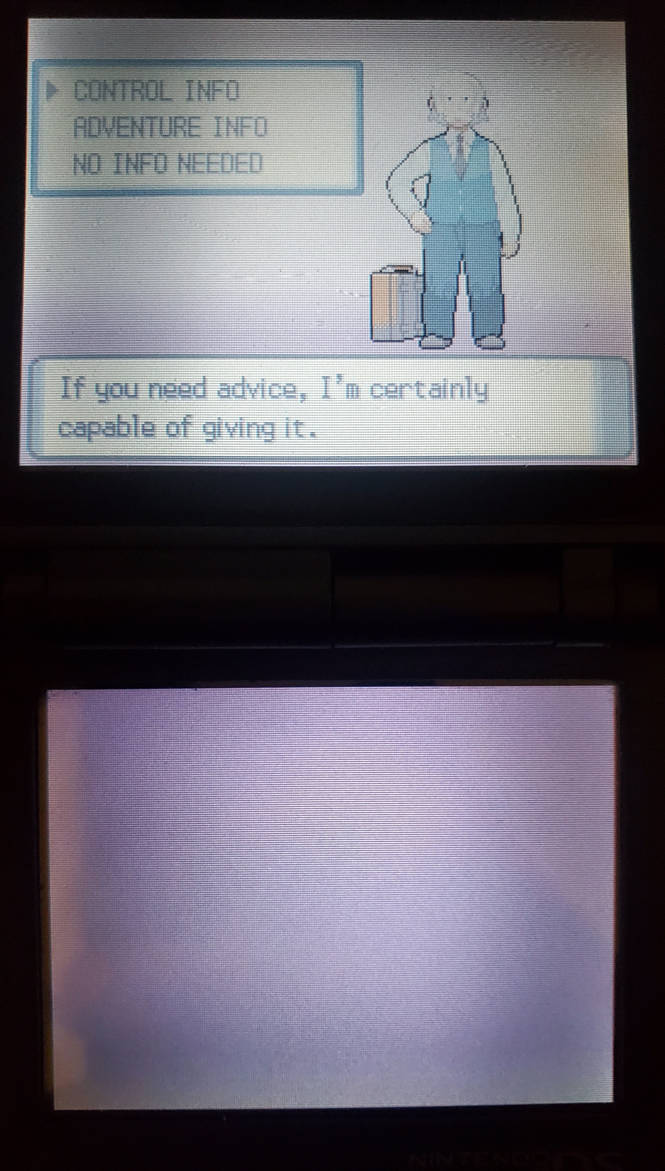 Pokemon SlotMod Pearl NDS Nintendo DS Custom ROM Hack Video Game