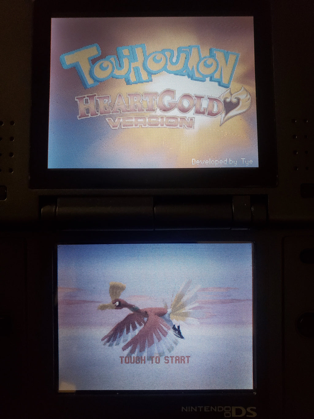 Pokemon Touhoumon HeartGold NDS Nintendo DS Custom ROM Hack Video Game