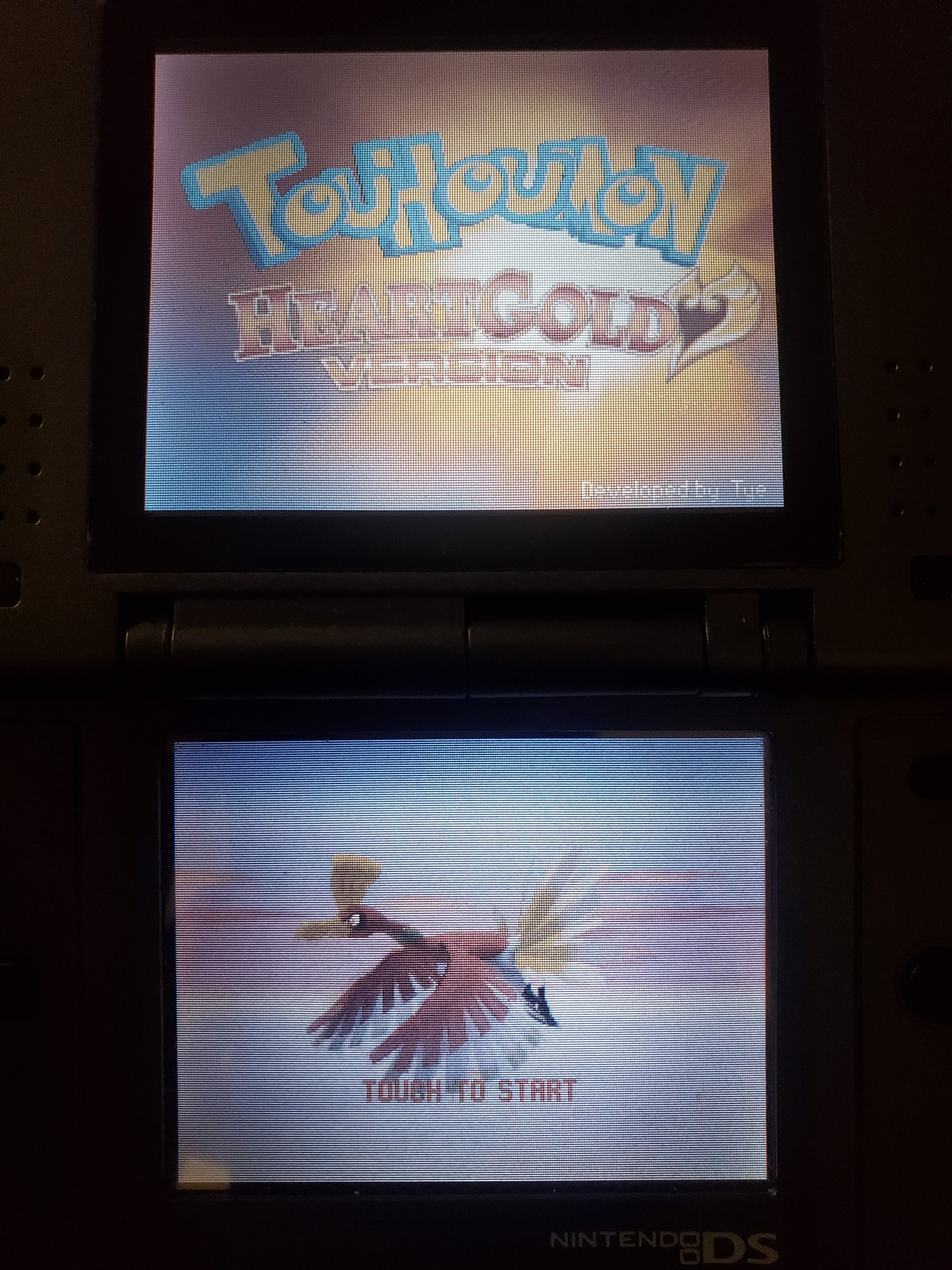 Pokemon Touhoumon HeartGold NDS Nintendo DS Custom ROM Hack Video Game