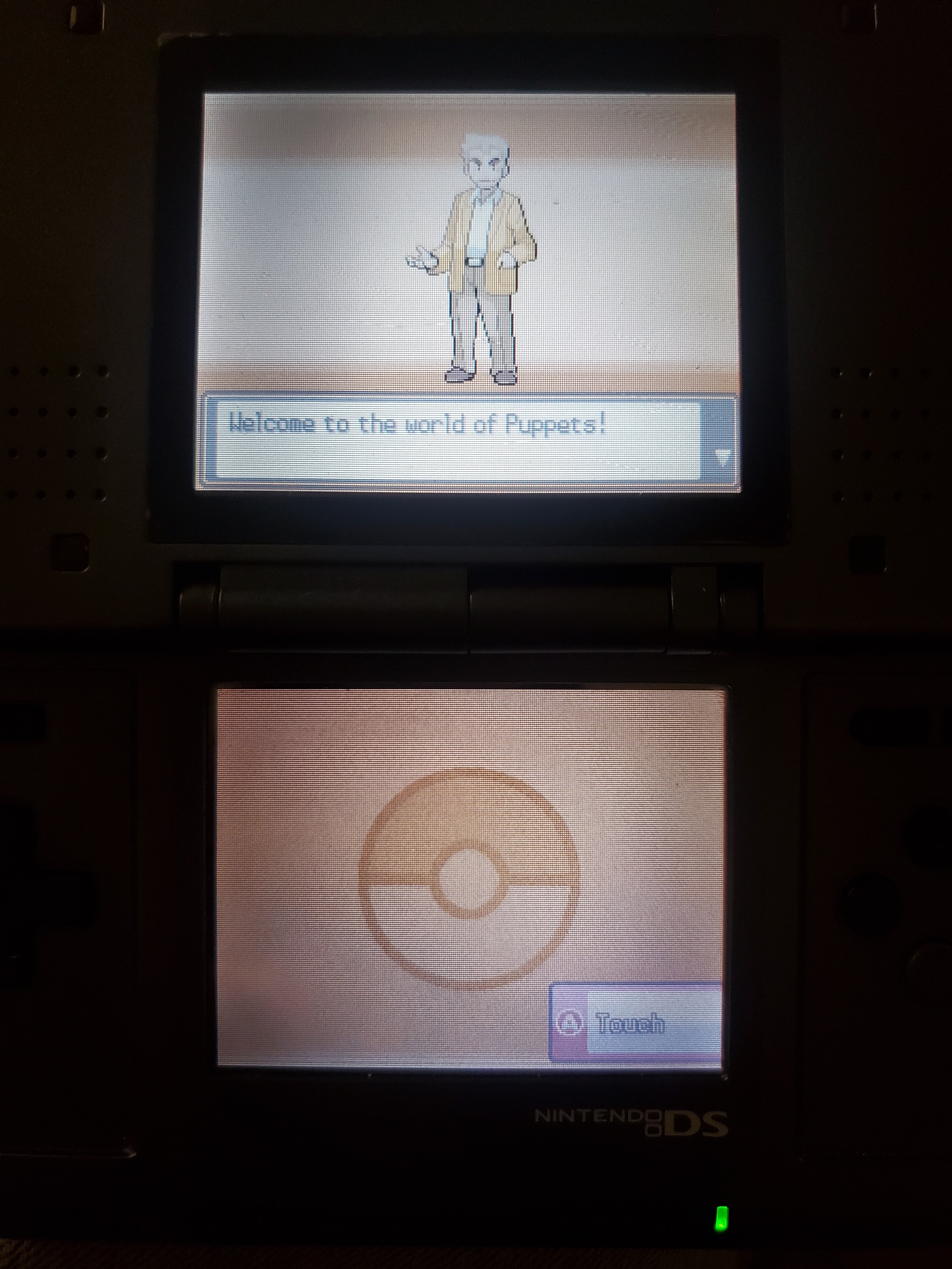 Pokemon Touhoumon HeartGold NDS Nintendo DS Custom ROM Hack Video Game