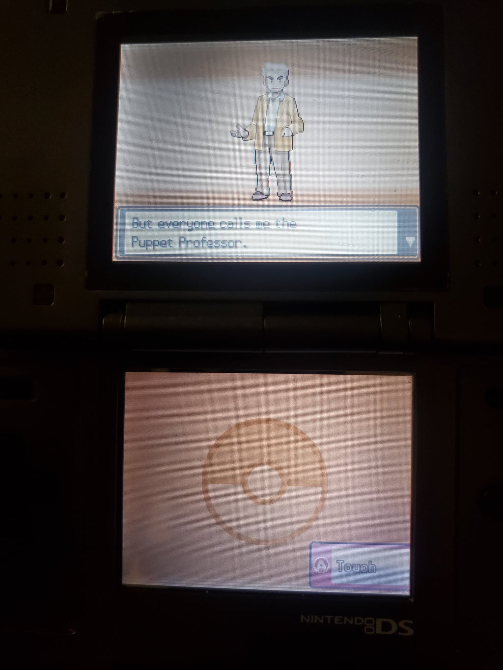 Pokemon Touhoumon HeartGold NDS Nintendo DS Custom ROM Hack Video Game