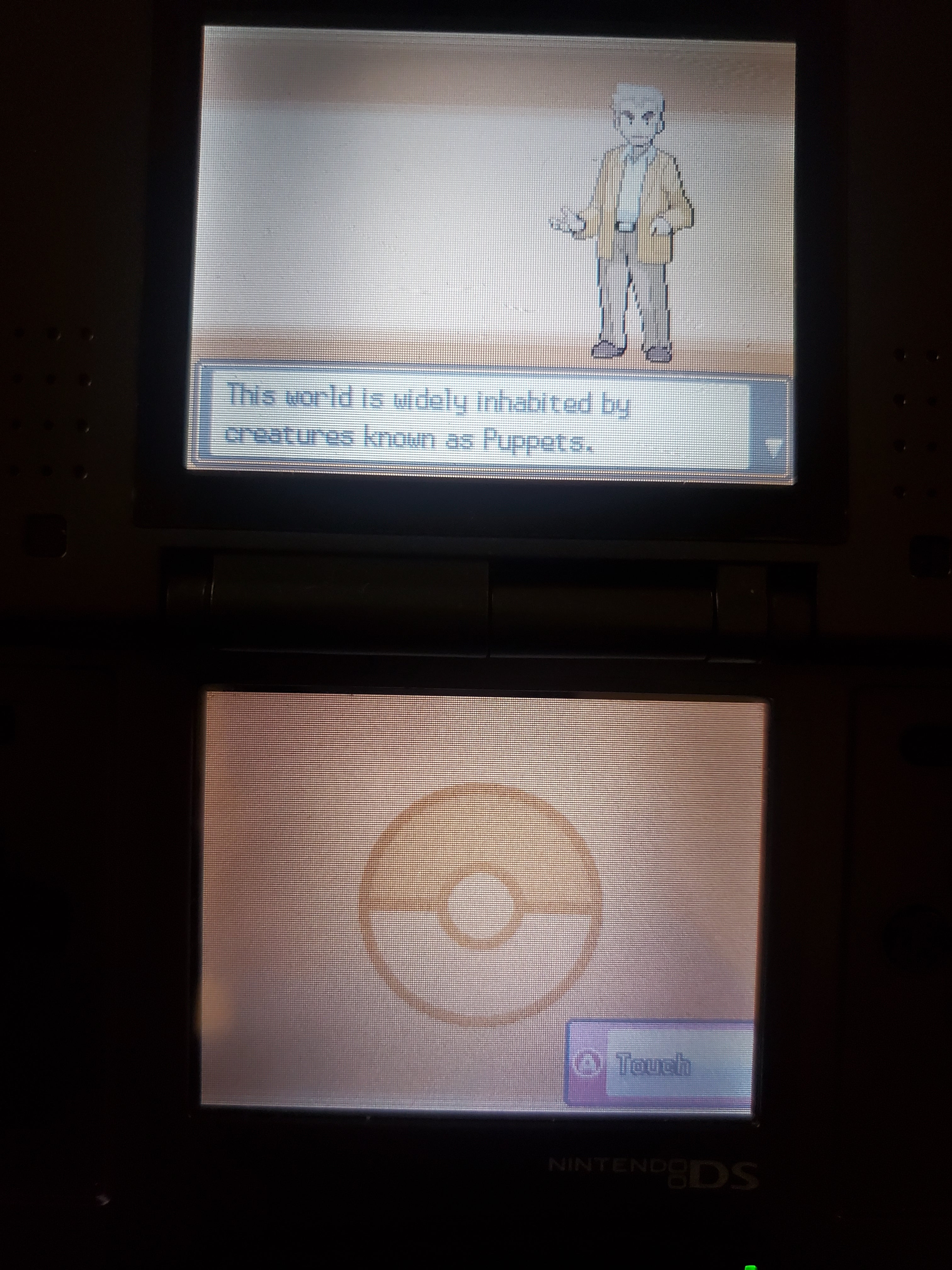 Pokemon Touhoumon HeartGold NDS Nintendo DS Custom ROM Hack Video Game