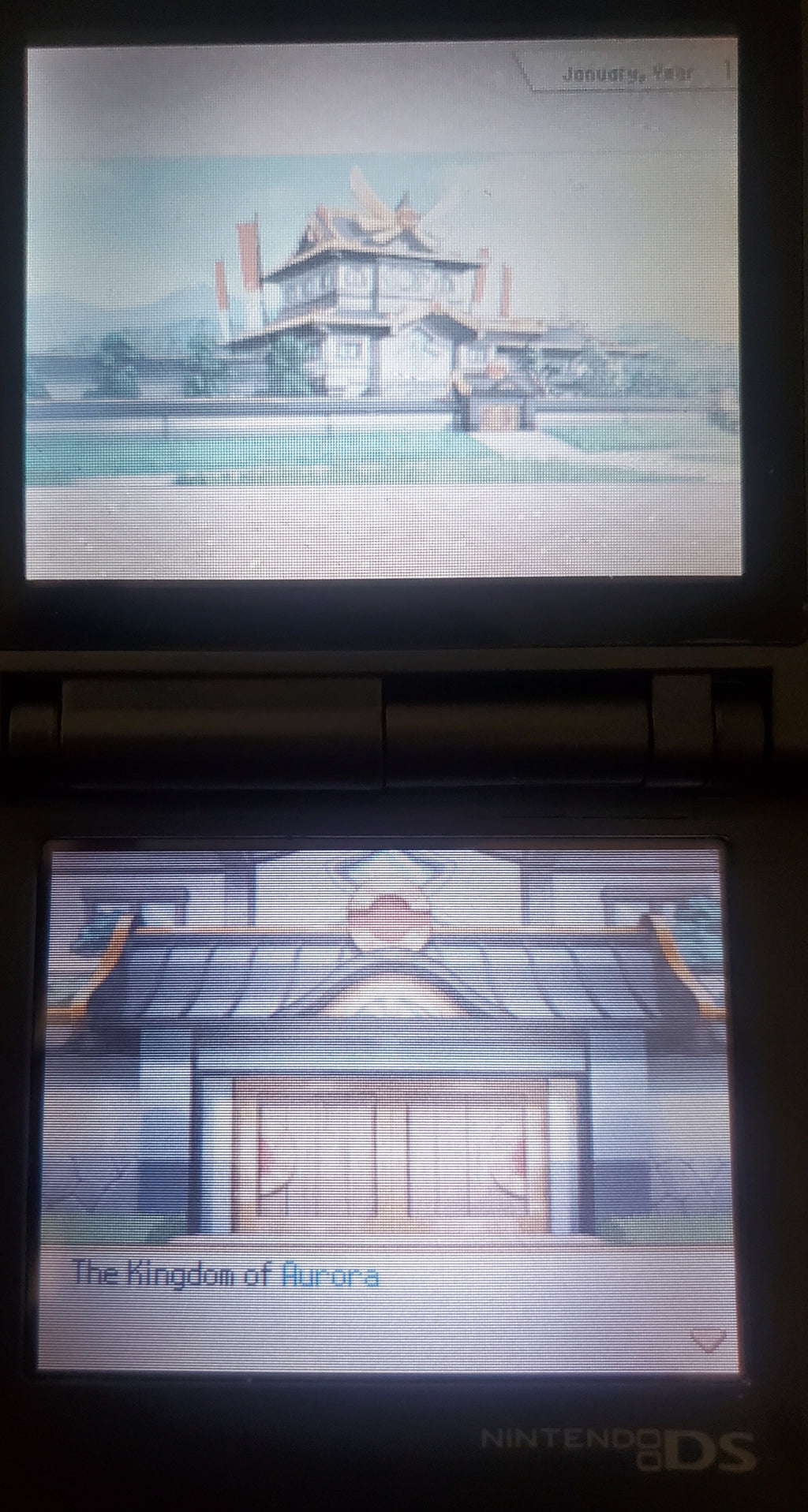 Pokemon Conquest NDS Video Game Nintendo DS 2012