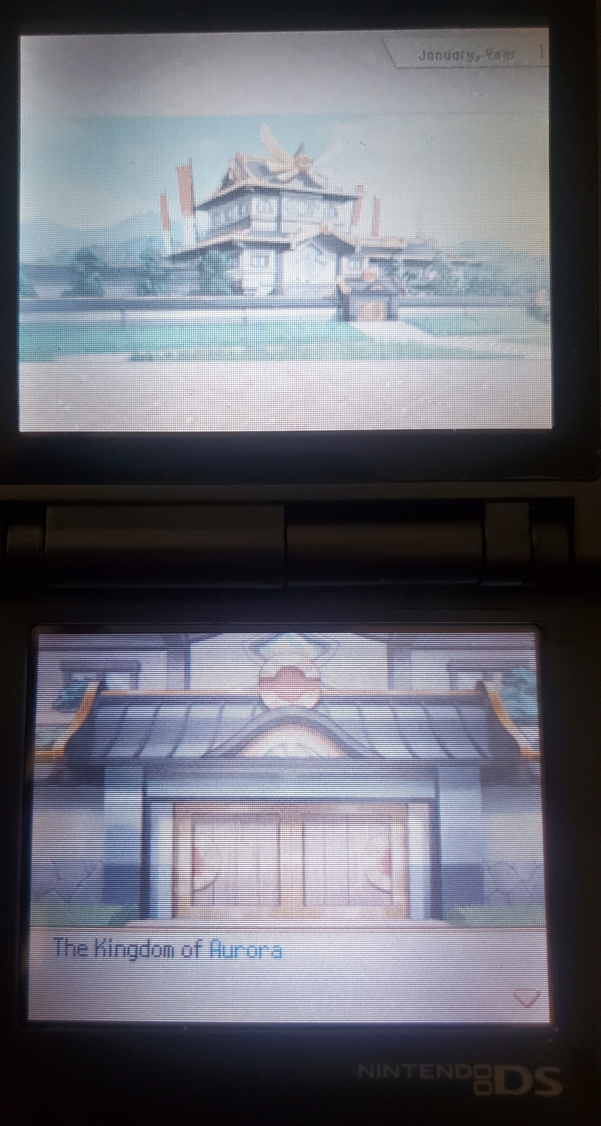 Pokemon Conquest NDS Video Game Nintendo DS 2012