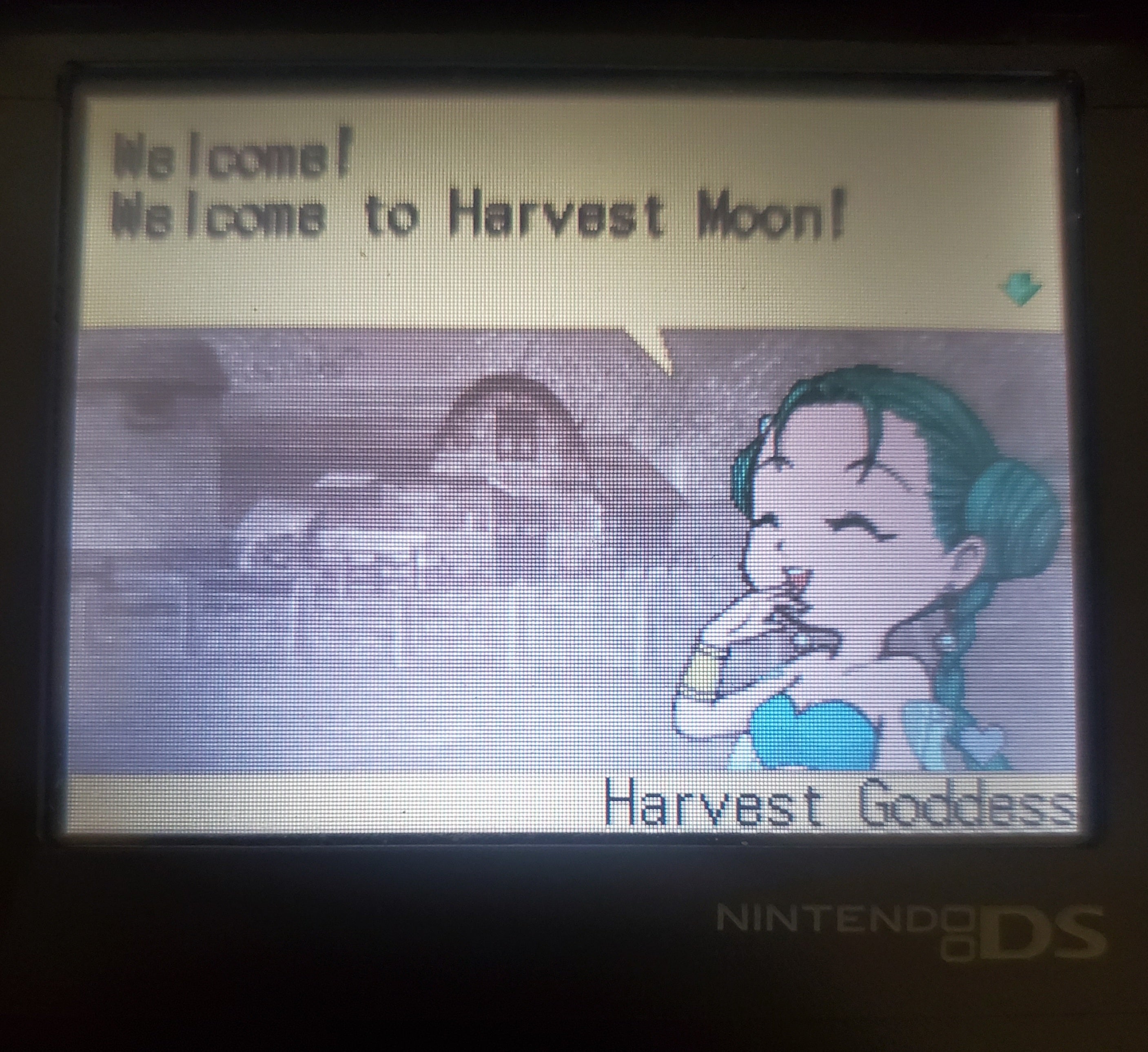 Harvest Moon DS NDS Video Game Cartridge Nintendo DS 2006
