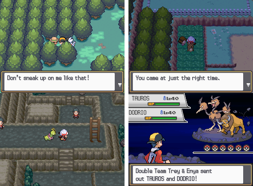 Pokemon True Soul NDS Nintendo DS Custom ROM Hack Video Game Cartridge