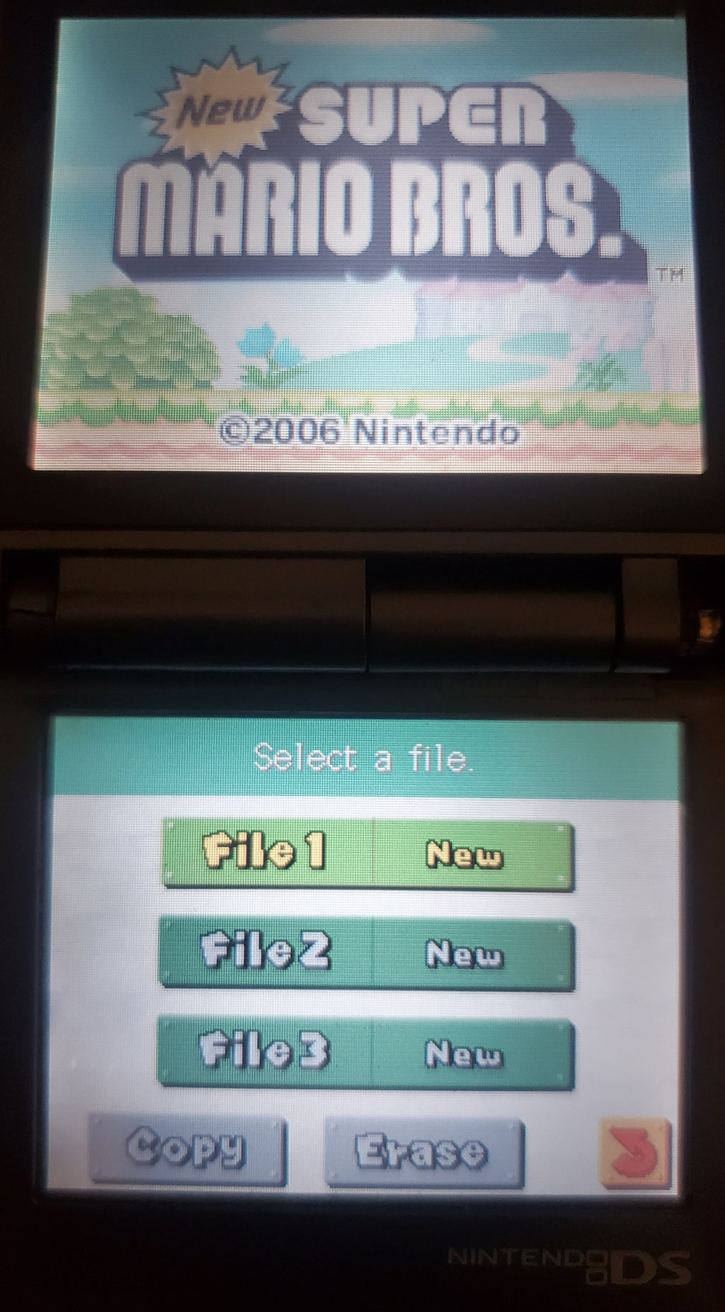New Super Mario Bros NDS Video Game Cartridge Nintendo DS 2006