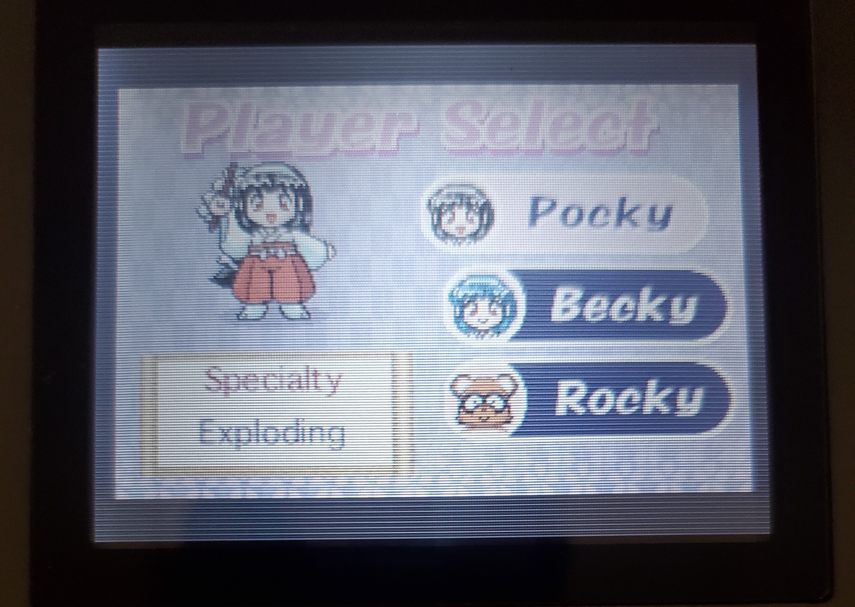 Pocky and Rocky with Becky GBA Video Game Boy Advance Nintendo