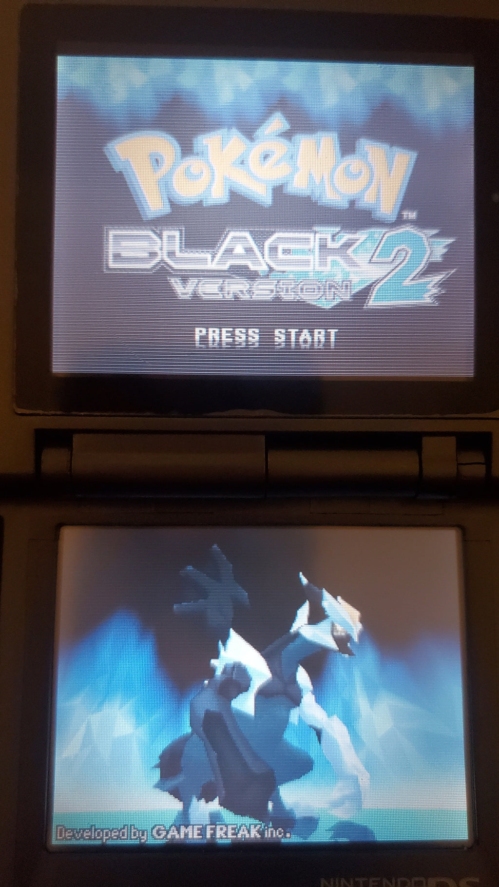 Pokemon Black Version 2 NDS Video Game Cartridge Nintendo DS 2012