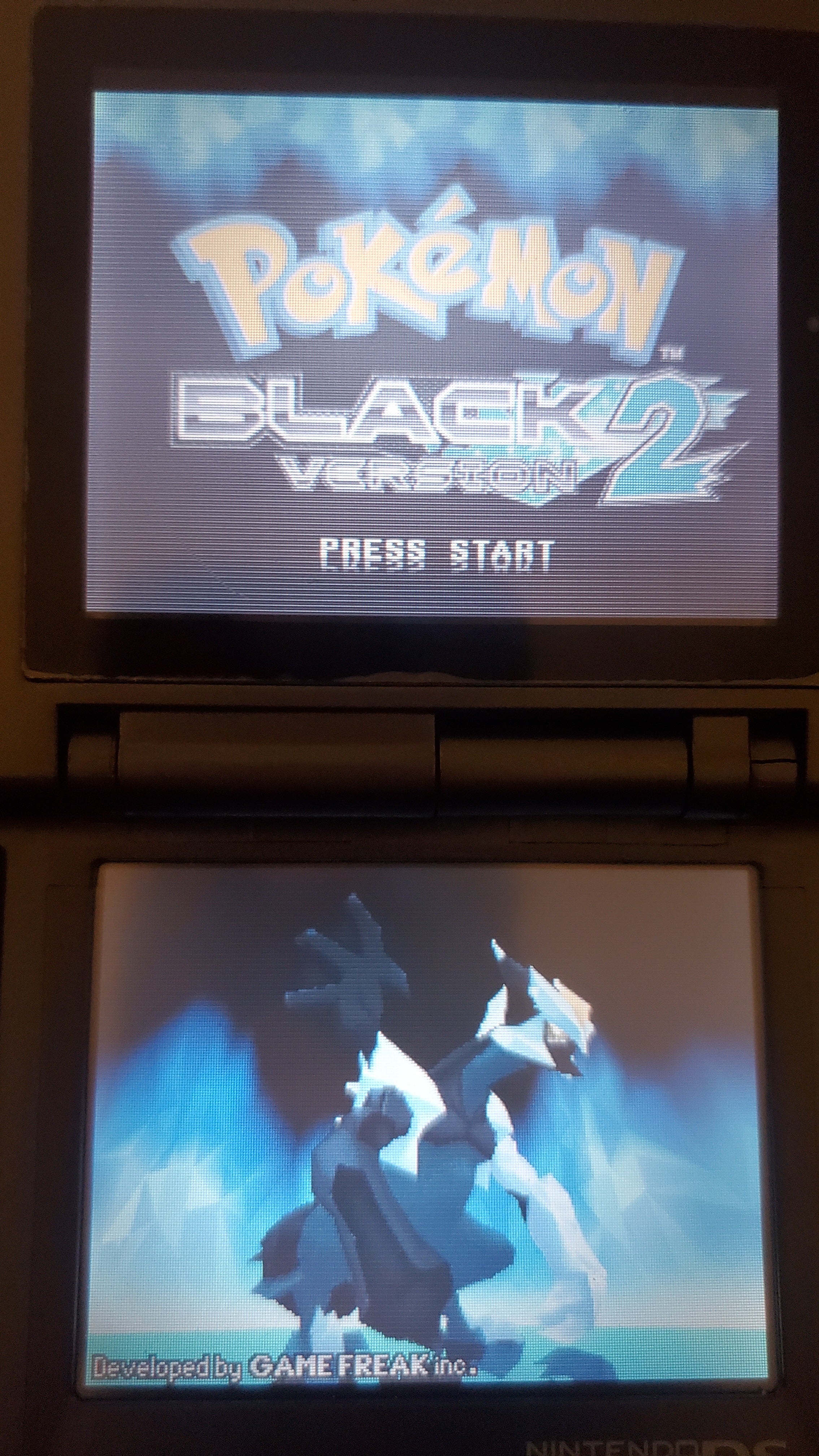 Pokemon Black Version 2 NDS Video Game Cartridge Nintendo DS 2012