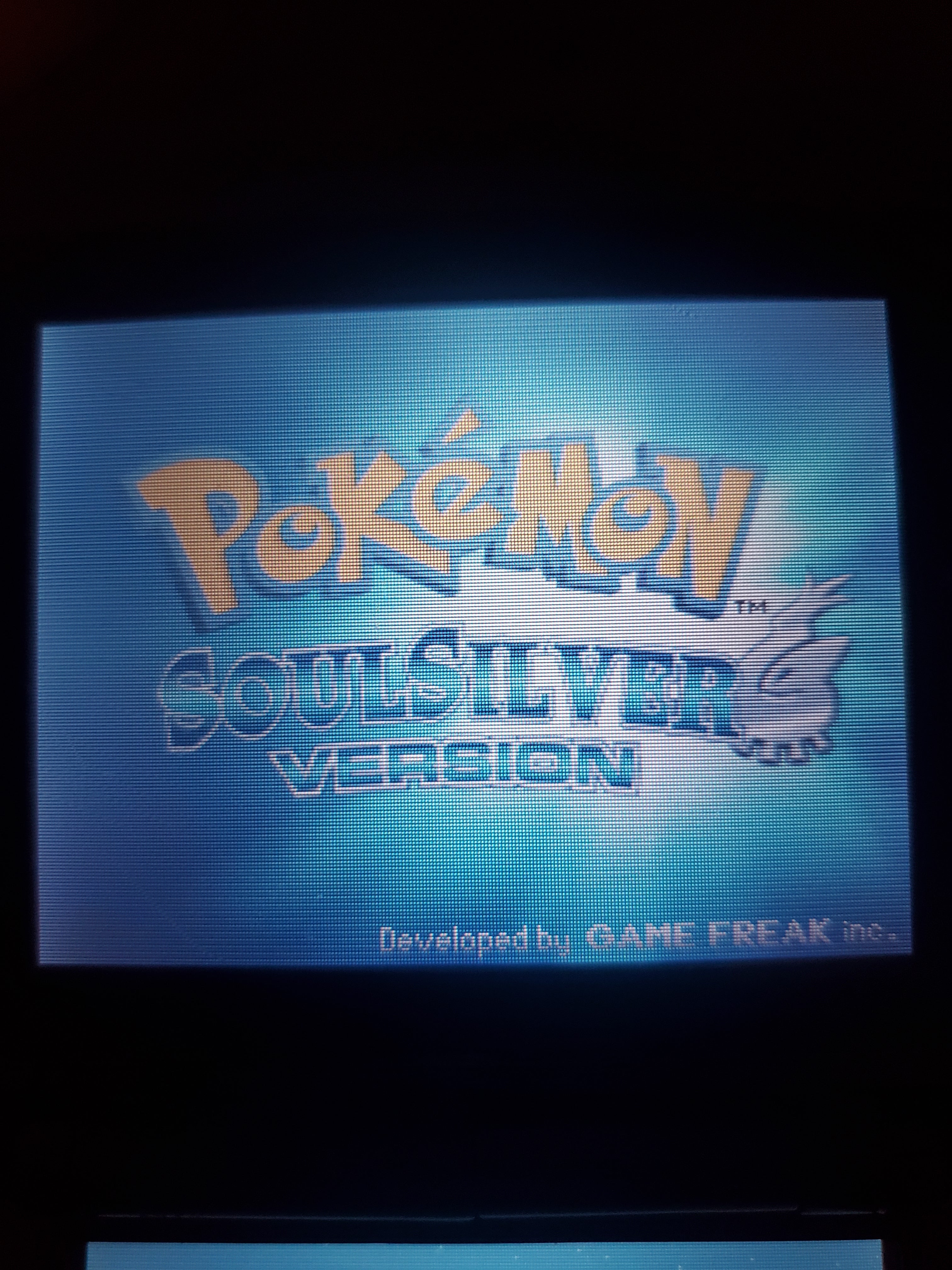 Pokemon SoulSilver NDS Video Game Cartridge Nintendo DS 2010