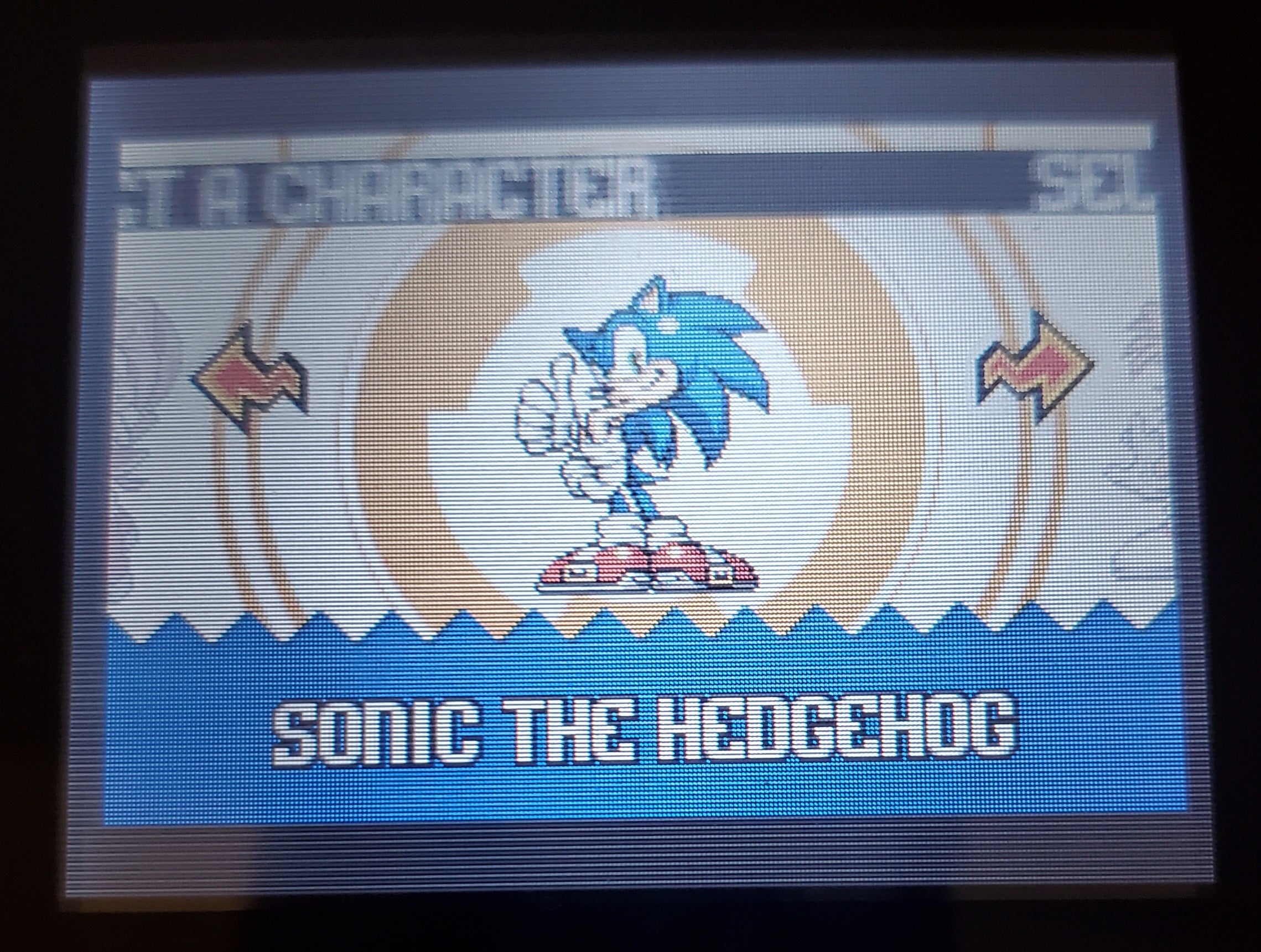Sonic Advance 1 GBA Video Game Cartridge Nintendo Game Boy Advance
