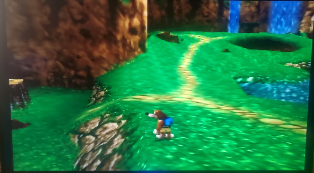 Banjo Tooie N64 Nintendo 64 Video Game Cartridge 2000