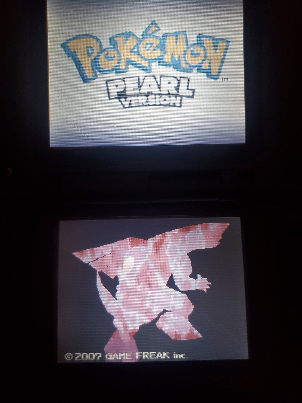 Nintendo DS Video Game Cartridge Collection NDS Pokemon